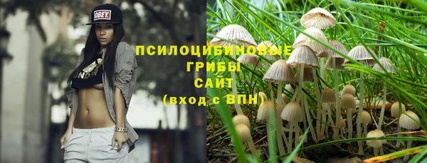 трава Алзамай